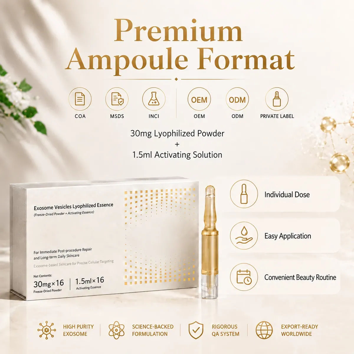 Ginseng Exosome Ampoule — Overnight Renewal & Firming: ampoule set, (30 mg + 1.5 ml) × 16 per box